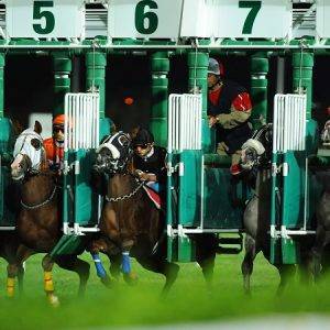 【2026更新】賽馬怎麼玩？日本賽馬vs香港賽馬差異一次搞懂！