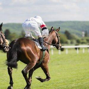 【賭馬新手教學】賭馬怎麼玩？2026最新賽馬規則、玩法介紹